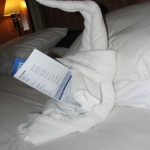 Towel Animal beim Zeitung lesen