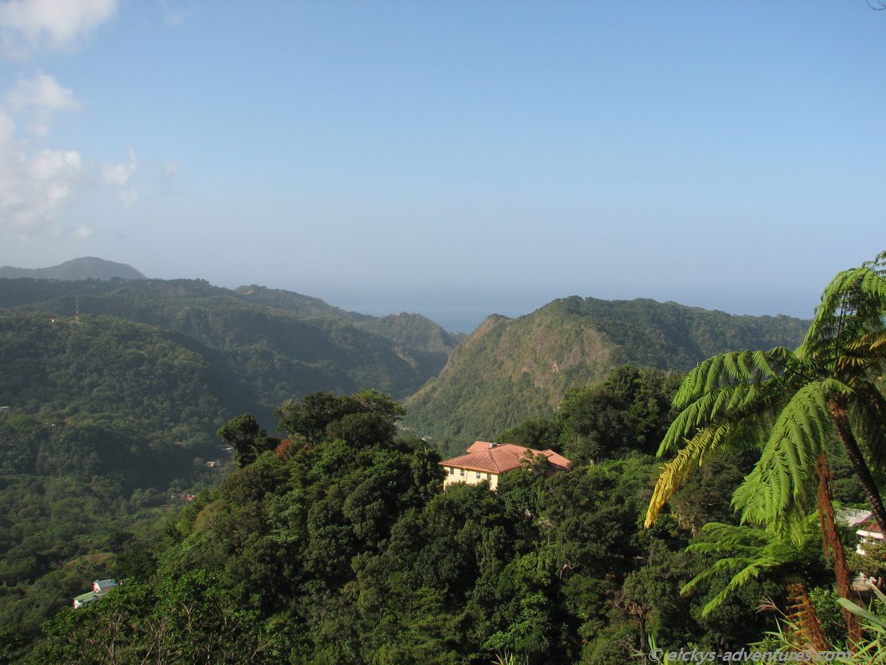 Dominica Dominica