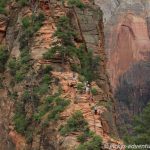 ud dann hatten wir diesen Wahnsinnsblick auf Angels Landing