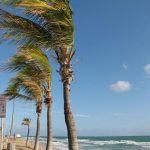 stürmisch war es in Ft. Lauderdale