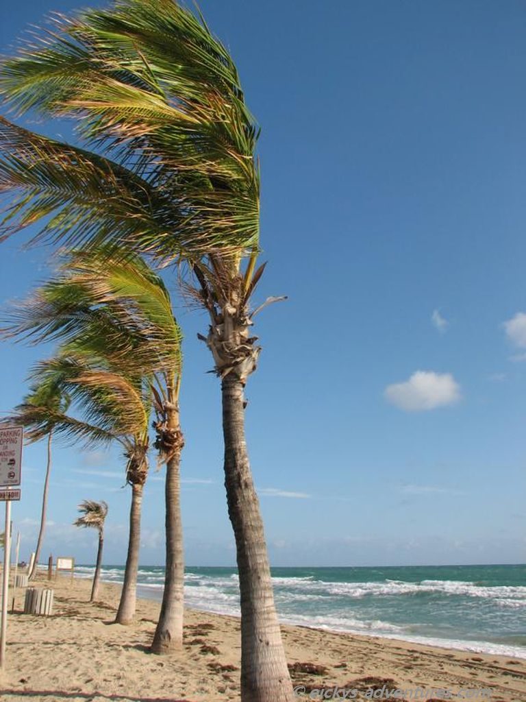 stürmisch war es in Ft. Lauderdale