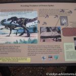 Dinospuren