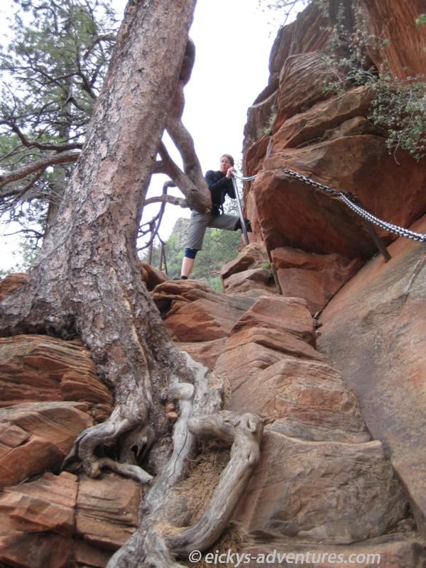 vorsichtiger Abstieg von Angels Landing vorsichtiger Abstieg von Angels Landing