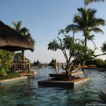 am Pool