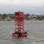 im Hafenbecken von Monterey