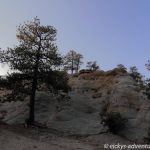 Palmer Park - Canyon Picknick Area