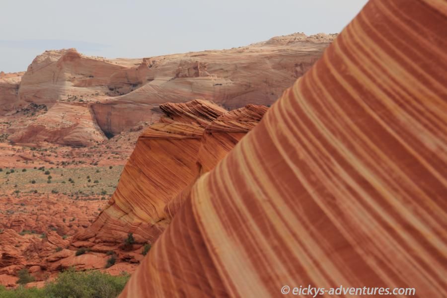 Wave - Coyote Buttes North Wave - Coyote Buttes North