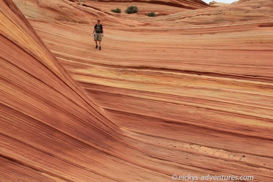 Wave - Coyote Buttes North Wave - Coyote Buttes North