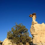 Rio Puerco Rock Formations: kleiner Drache