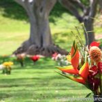 Punchbowl National Memorial Cemetery of the Pacific
