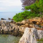 Küste in Zadar