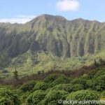 Ko’olau Mountains - Maunawili Trail