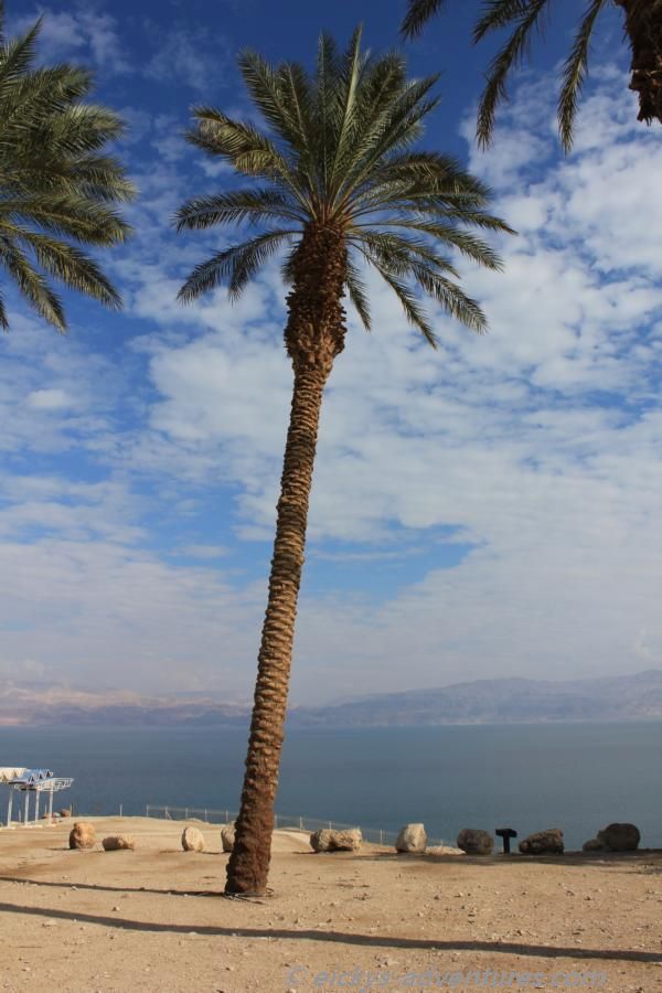Ein Gedi Beach Ein Gedi Beach