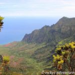 Pu’u O Kila Lookout - Waimea Canyon