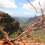 Canyon Trail - Waimea Canyon