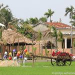 Reisfeld mit Deko in Hoi An