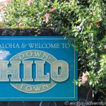 Hilo Down Town