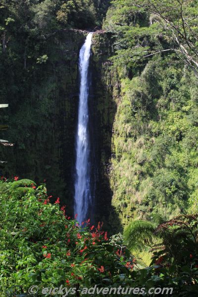 Akaka Falls State Park Akaka Falls State Park
