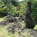 Lava Tree State Park