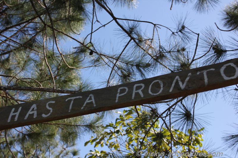 Bis bald - Hasta pronto Bis bald - Hasta pronto