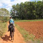 unterwegs im Tal von Vinales