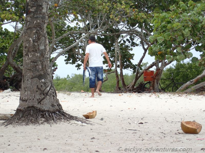 Playa los Cocos: Frischer Fisch Playa los Cocos: Frischer Fisch CAMERA