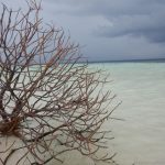 Picknick-Insel Raiydhigaa