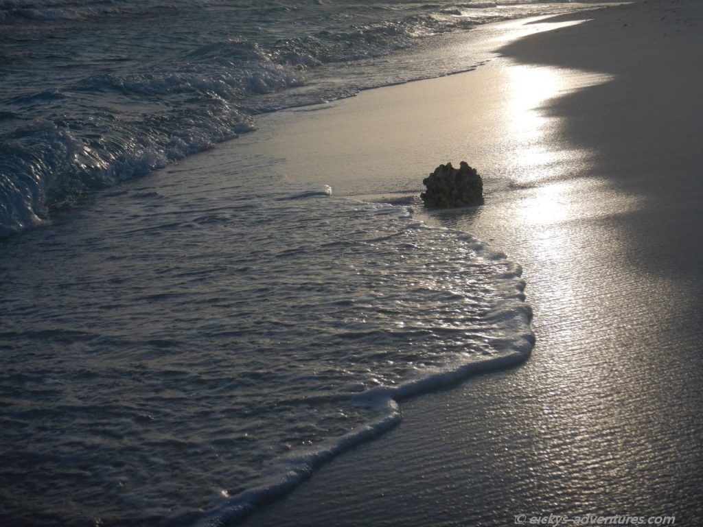 auf einer Sandbank im Nord Male Atoll