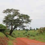 zwischen Murchison Falls und Fort Portal