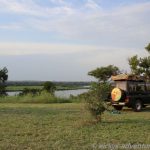 Shoebill Camp
