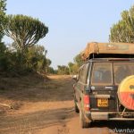Queen Elisabeth National Park
