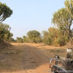 Queen Elisabeth National Park