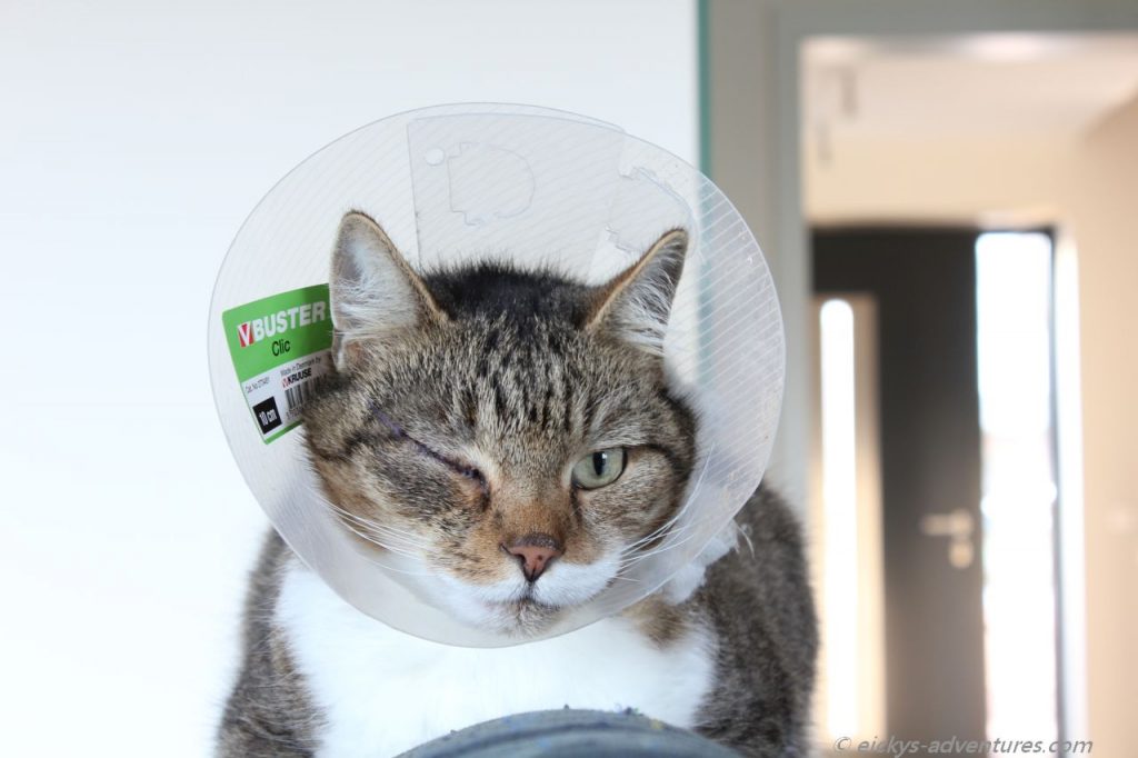 der arme Trichter-Lucky