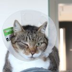 der arme Trichter-Lucky