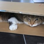 Platz im schmalsten Karton