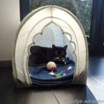 Emma im Camping Urlaub