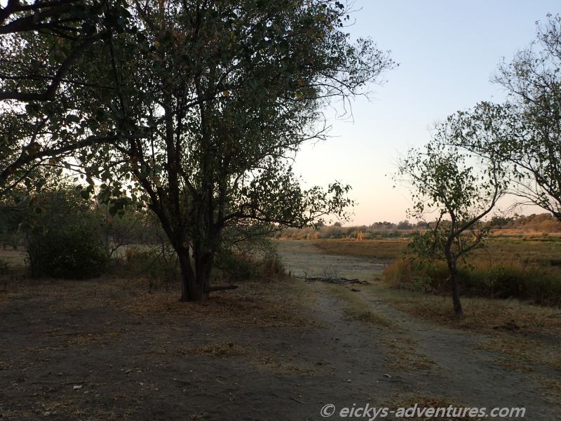 Campsite Moremi Campsite Moremi