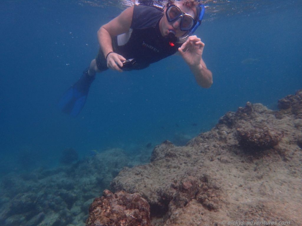 Unterwasserwelt an der Insel Ariadhoo