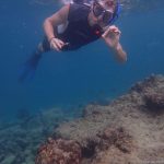 Unterwasserwelt an der Insel Ariadhoo
