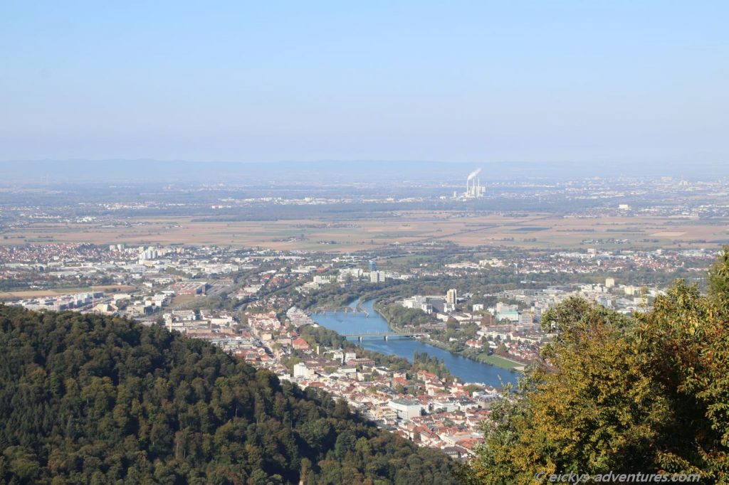 Blick vom Königstuhl