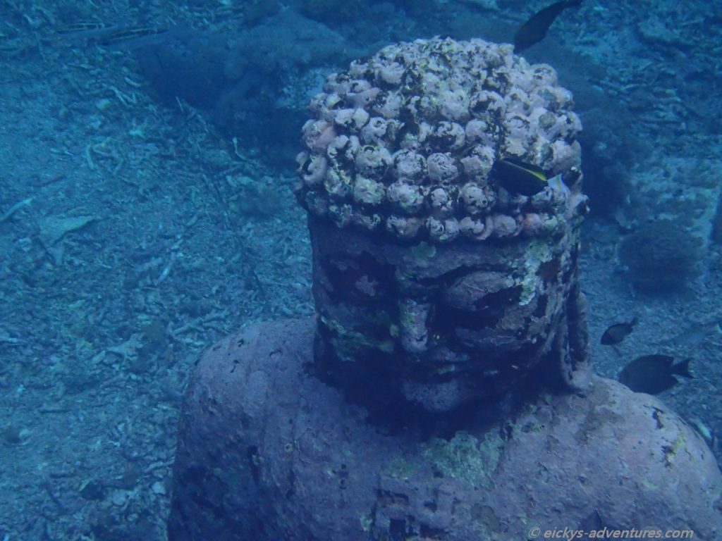 Unterwasserwelt beim Unterwasser-Buddah, Nusa Penida