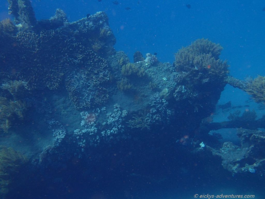 Unterwasserwelt am Japanese Shipwreck