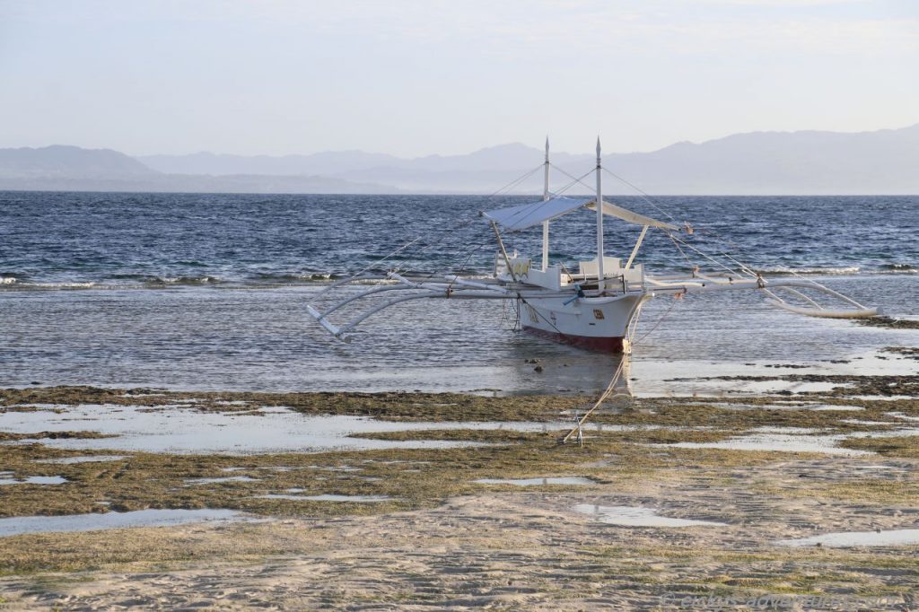 Pamilacan