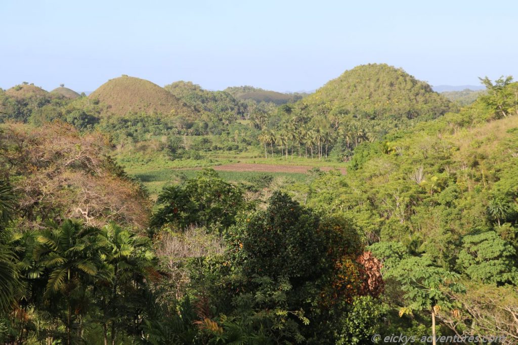 Sagbayan Peak - Aussicht auf die Chocolate Hills