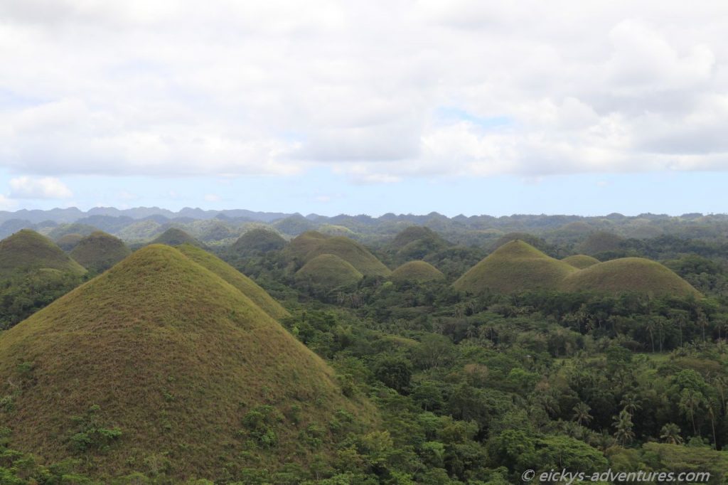Aussichtspunkt Chocolate Hills in Carmen